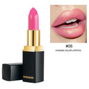 Luxury Waterproof Shimmer Long Lasting Lipsticks