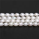 Real Natural Pearls Bead