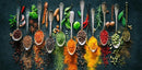 Herbs and Spices for Cooking Canvas Art