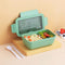 Microwave  Lunch Bento Box