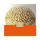 Orange Luxury Canvas Painting