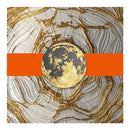 Orange Luxury Canvas Painting