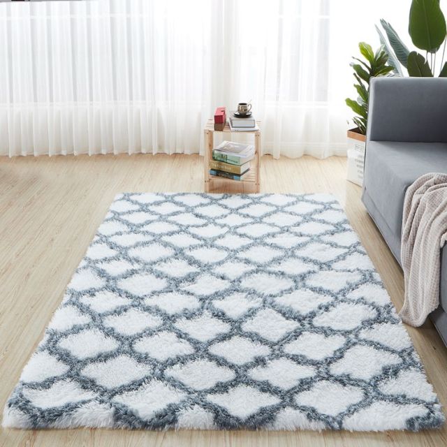 Nordic Lounge Fluffy Non-slip Mixed Dyed Carpet