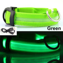 Usb Charging Led Dog Collar