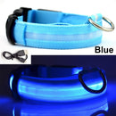 Usb Charging Led Dog Collar