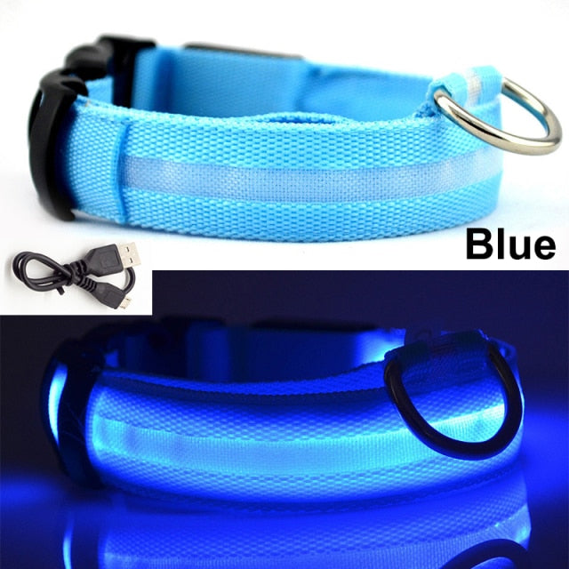 Usb Charging Led Dog Collar