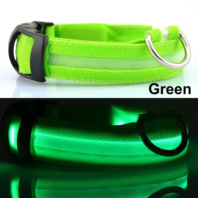 Usb Charging Led Dog Collar