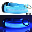 Usb Charging Led Dog Collar