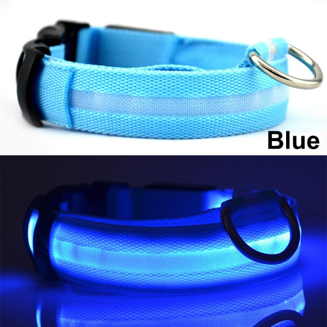 Usb Charging Led Dog Collar