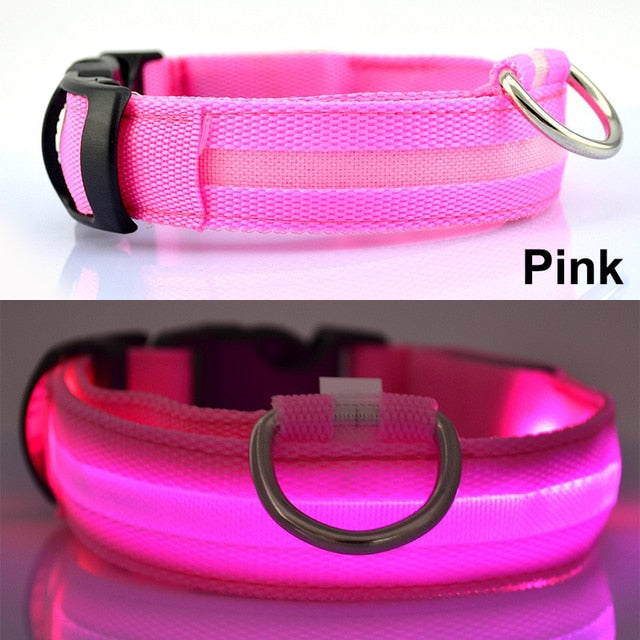 Usb Charging Led Dog Collar