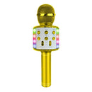 Handheld Karaoke Microphone for Kids