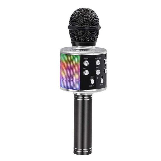 Handheld Karaoke Microphone for Kids