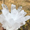 Natural Rare White Quartz Crystal Cluster