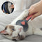 Pet Hair Cleaning Slicker Brush